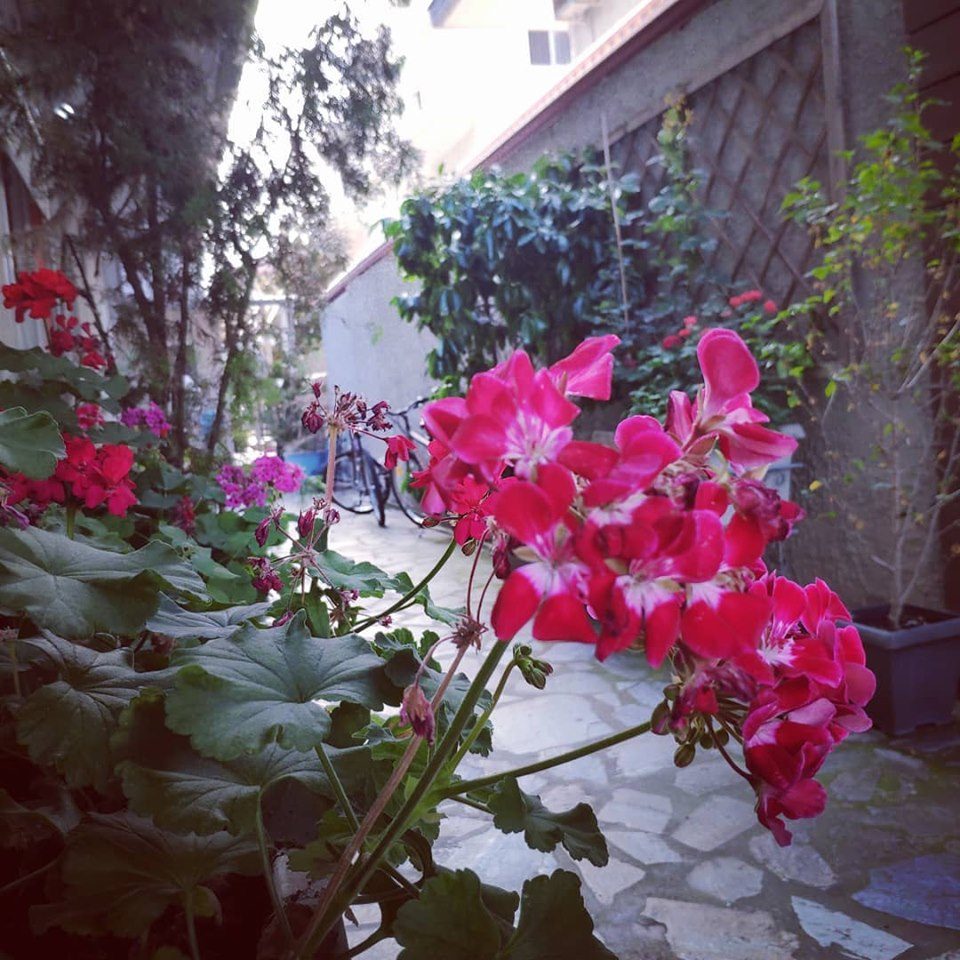 Ouzas Luxury Hotel