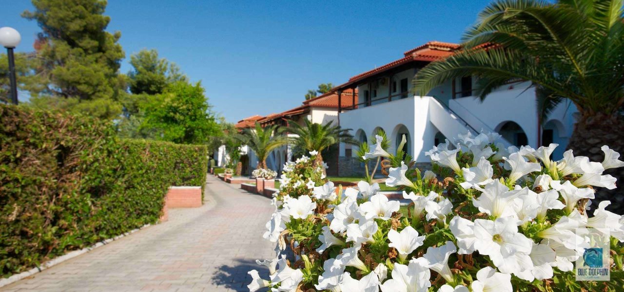 Blue Dolphin Hotel