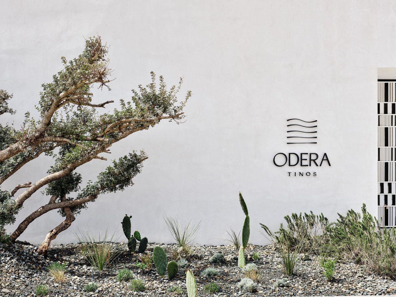 Odera Tinos