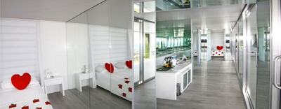 Adam & Eve - Adults Only - Design Suite