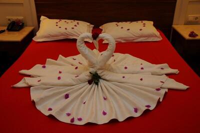 Alba Royal Hotel -Adults Only (+16) - Standard Double or Twin Room with Garden View