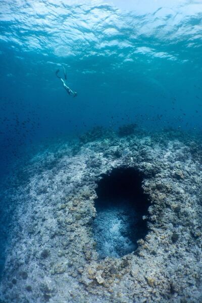 Amilla Maldives, , Малдиви