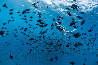Amilla Maldives, , Малдиви