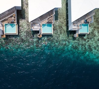 Amilla Maldives, , Малдиви