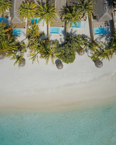 Anantara Dhigu Maldives Resort - Sunrise Beach Pool Villa
