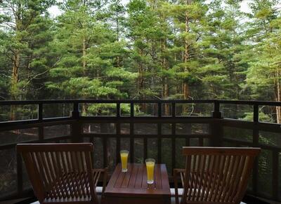 Asteria Family Resort Belek - Nature Standard Room