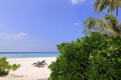 Avani+ Fares Maldives Resort - Beach Pool Villa
