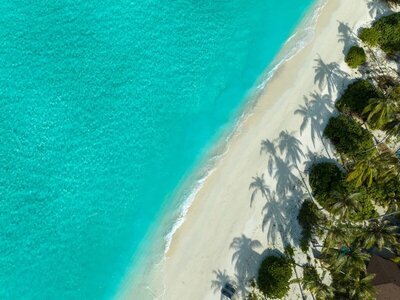 Avani+ Fares Maldives Resort - Beach Villa