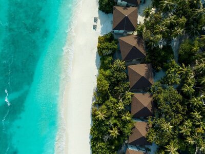 Avani+ Fares Maldives Resort, , Малдиви