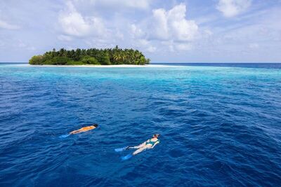 Avani+ Fares Maldives Resort, , Малдиви