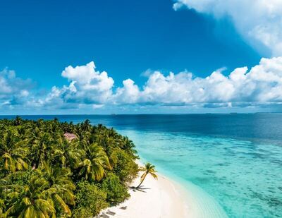 Avani+ Fares Maldives Resort, , Малдиви