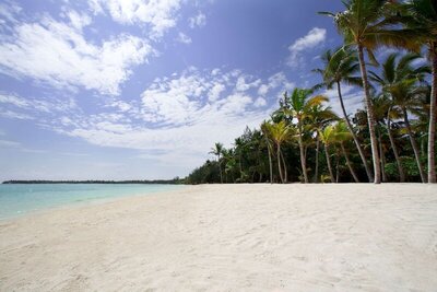 Barceló Bávaro Palace, Пунта Кана, Доминикана