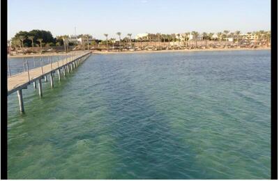 Blend Elphistone Resort Marsa Alam, , Египет