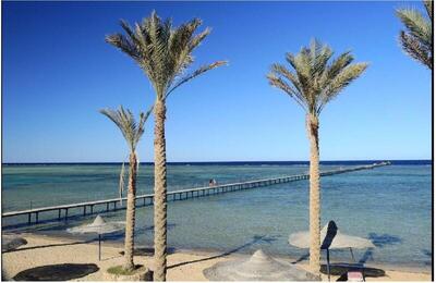 Blend Elphistone Resort Marsa Alam, , Египет