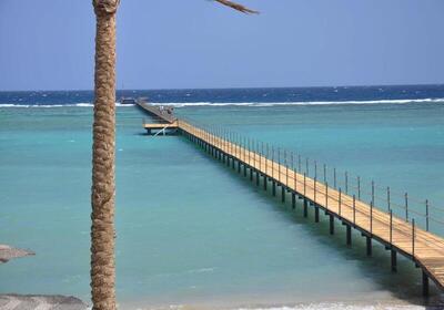 Blend Elphistone Resort Marsa Alam - Double Room with Sea View