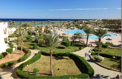 Blend Elphistone Resort Marsa Alam - Double Room with Garden View