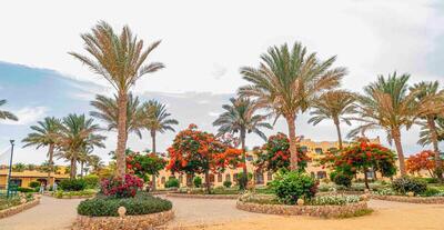 Blend Elphistone Resort Marsa Alam, , Египет