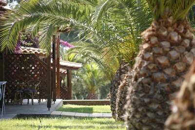 Blue Dolphin Hotel, Метаморфози, Гърция