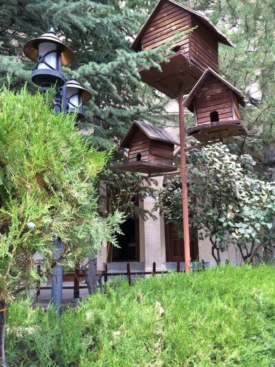 Burcu Kaya Hotel, , Турция