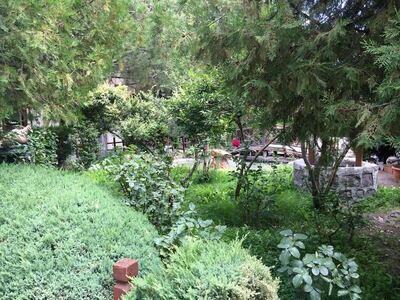 Burcu Kaya Hotel, , Турция