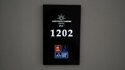 Catty Cats Garden Hotel - Studio