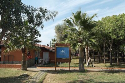 Club Turtas Beach Hotel, Алания, Турция