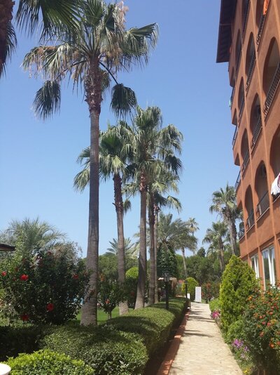 Club Turtas Beach Hotel, Алания, Турция