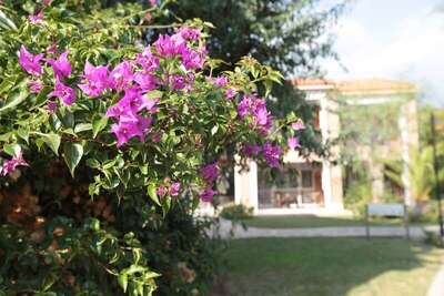 Club Yali Hotels & Resort, Мендерес, Турция