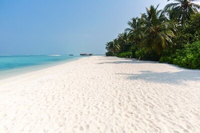 Cocoon Maldives, , Малдиви