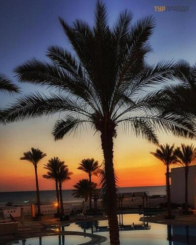 Continental Plaza Beach Resort - Single Room with Sea View