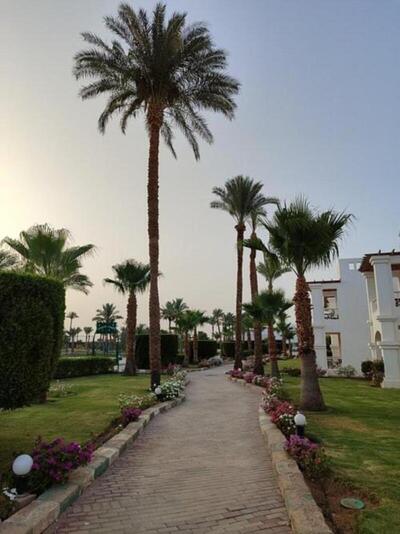 Continental Plaza Beach Resort, , Египет