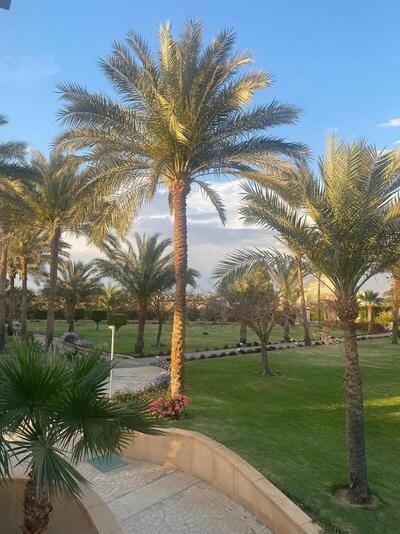 Continental Plaza Beach Resort, , Египет