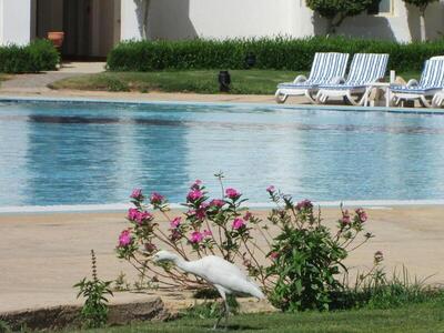 Continental Plaza Beach Resort, , Египет