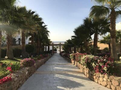 Continental Plaza Beach Resort, , Египет