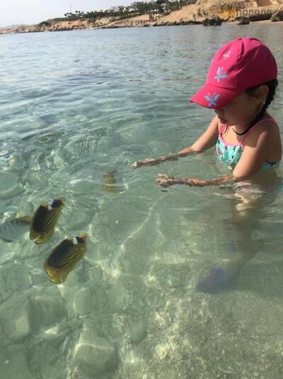 Continental Plaza Beach Resort, , Египет