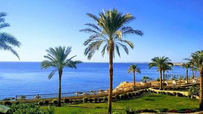 Continental Plaza Beach Resort - Special Offer- Standard Double Room Sea View - Egyptians and Residents Only