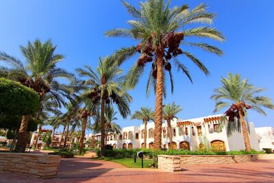 Coral Hills Resort - Standard Double or Twin Room, Pool View