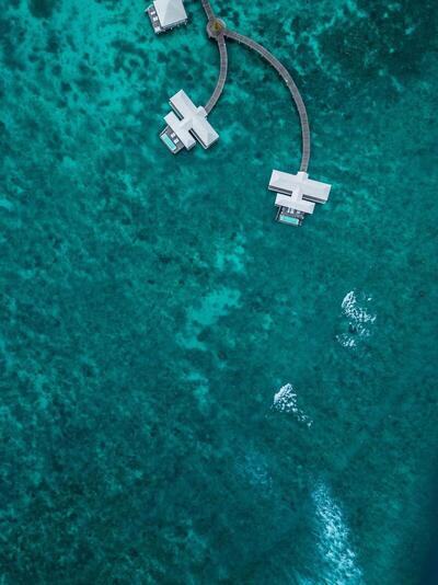 Diamonds Thudufushi Maldives Resort & Spa - Two-Bedroom Pool Water Villa	