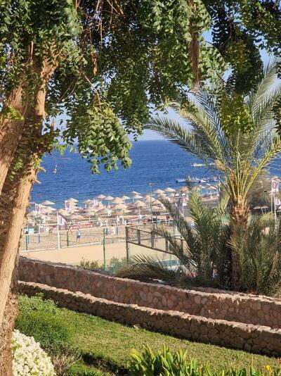 DOMINA CORAL BAY HAREM, , Египет
