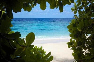 Dusit Thani Maldives - Beach Plunge Pool Villa, 122sqm, Beachfront, Butler Service, Sunset view
