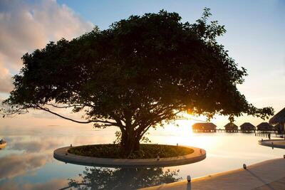 Dusit Thani Maldives, , Малдиви