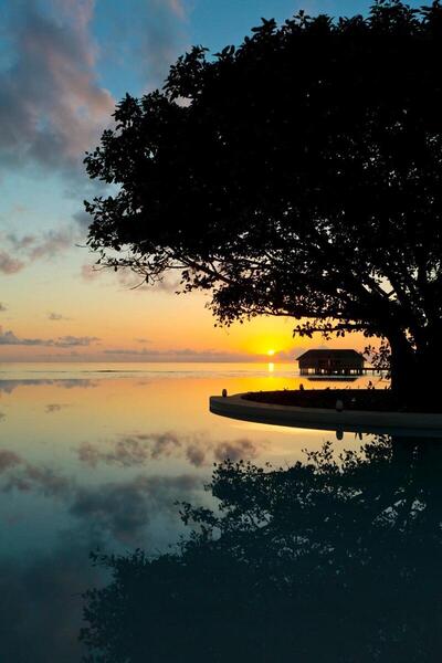 Dusit Thani Maldives, , Малдиви