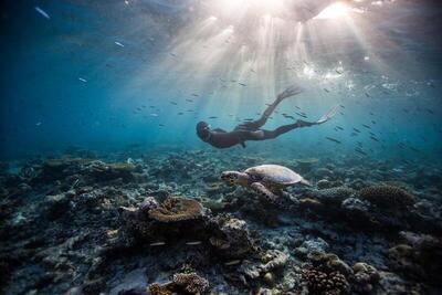 Dusit Thani Maldives, , Малдиви