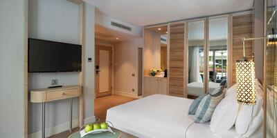 Ela Excellence Resort Belek - Lake House Swim Up