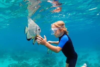 Emerald Faarufushi Resort & Spa, , Малдиви