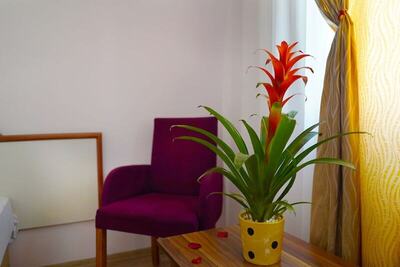 Ergun Hotel, Алания, Турция