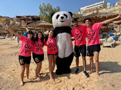 Faraana Reef - All-inclusive, , Египет