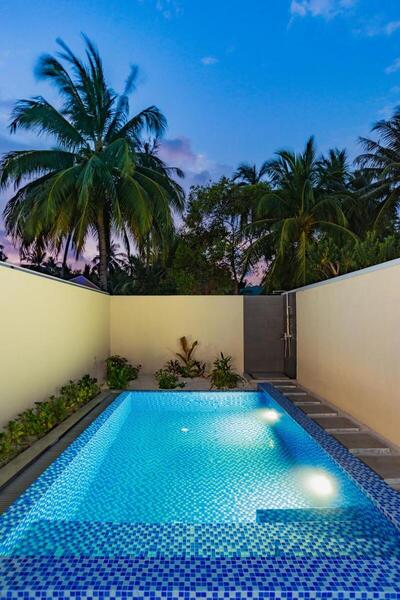 Fiyavalhu Resort Maldives - Beach Pool Villa (20% off on Spa & One Hour Free Kayaking per Stay)