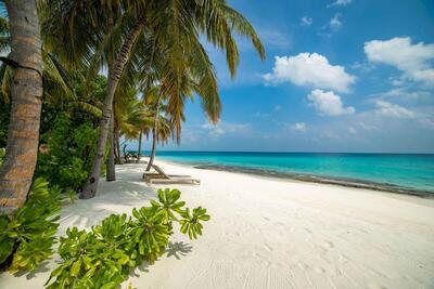 Fiyavalhu Resort Maldives - Beach Villa (20% off on Spa & One Hour Free Kayaking per Stay)