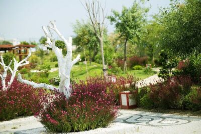 Flora Garden Beach Club, Манавгат, Турция